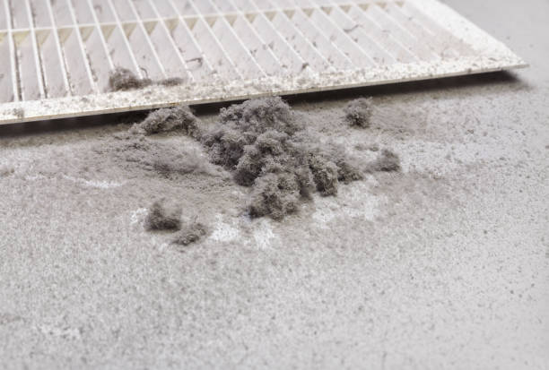 Best Residential Air Duct Cleaning  in Punaluu, HI