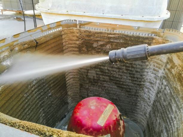 Best Air Duct Sanitizing Services  in Punaluu, HI