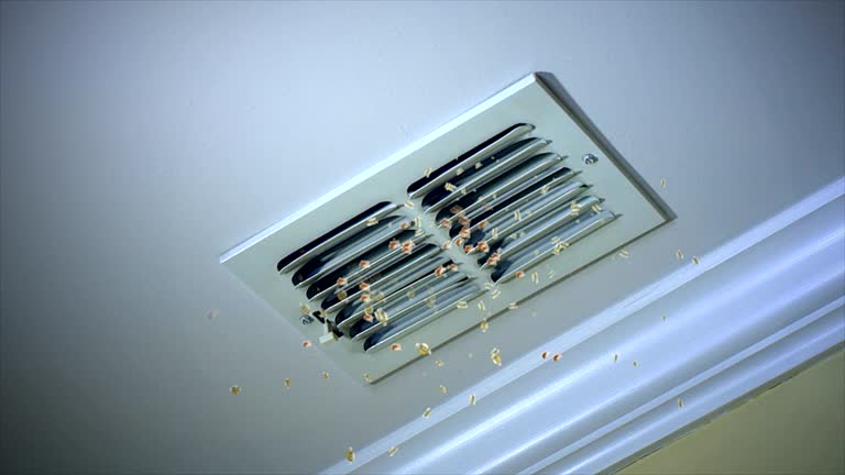 Best Affordable HVAC Duct Cleaning  in Punaluu, HI