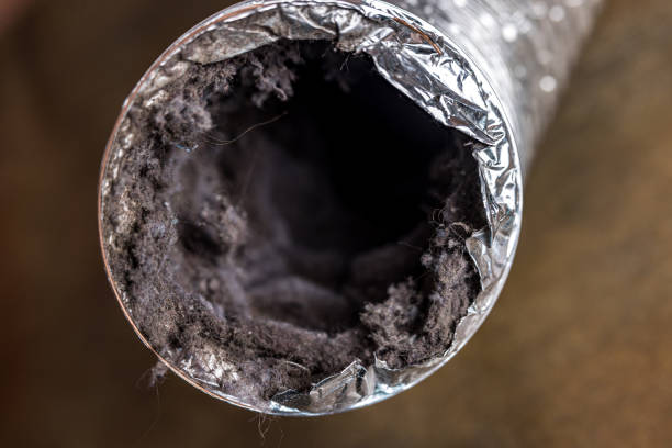 Best Affordable Air Duct Cleaning  in Punaluu, HI