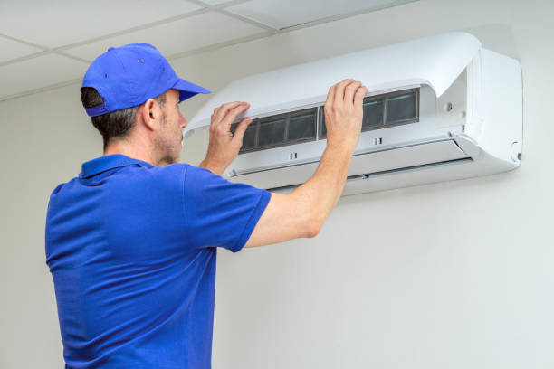 Air Duct Mold Removal in HI