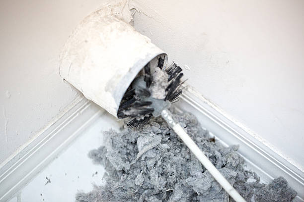 Best Home Air Vent Cleaning  in Punaluu, HI